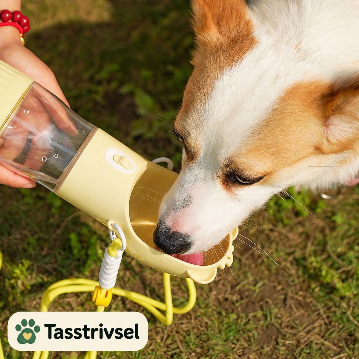 Reseflaska för hund – vatten och valbart foderfack